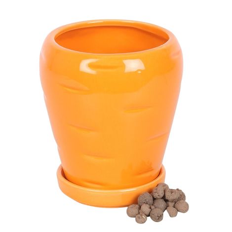 Carrot Shaped Indoor Plant Pot with Parsley Seed Balls