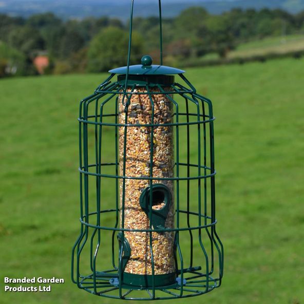 Caged Seed Feeder