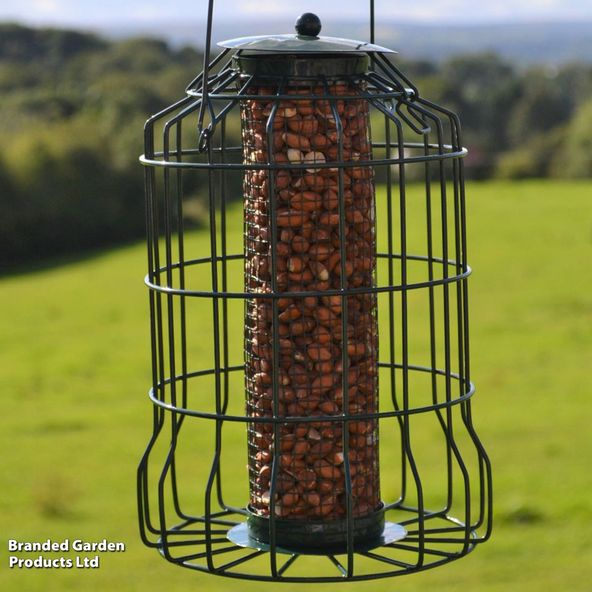 Caged Peanut Feeder