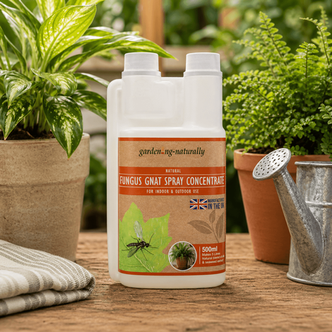 500ml Concentrate