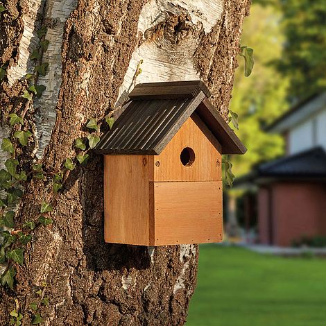Multi-Purpose Nesting Box