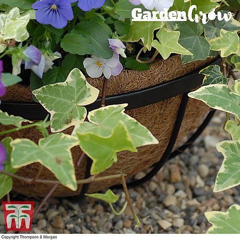 Garden Grow Hanging Basket Liner