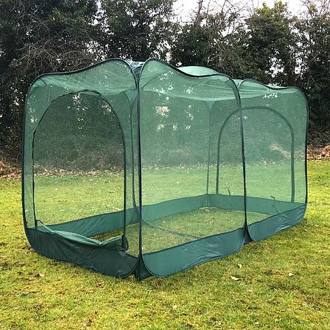 Giant Pop Up Crop Cage & Brassica Protection Cover