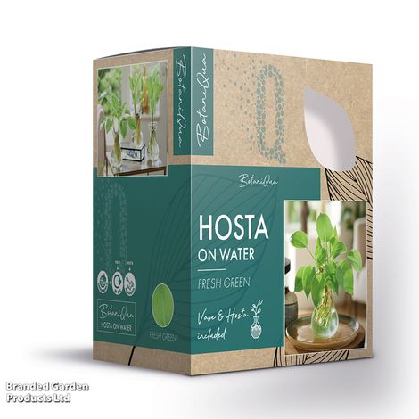 Hosta BotaniQua Fresh Green Hydroponic Kit