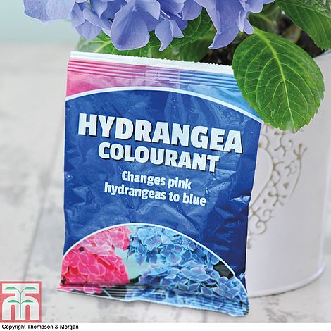 Vitax Hydrangea Colourant 250g 5HC250 