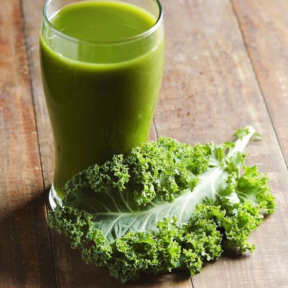 Kale Dwarf Green Curled - Organic Seeds