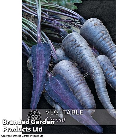 Carrot Purple Sun F1 - Kew Vegetable Seed Collection