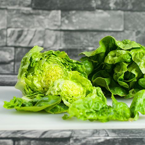Lettuce Little Gem Delight (Cos) - Organic Seeds