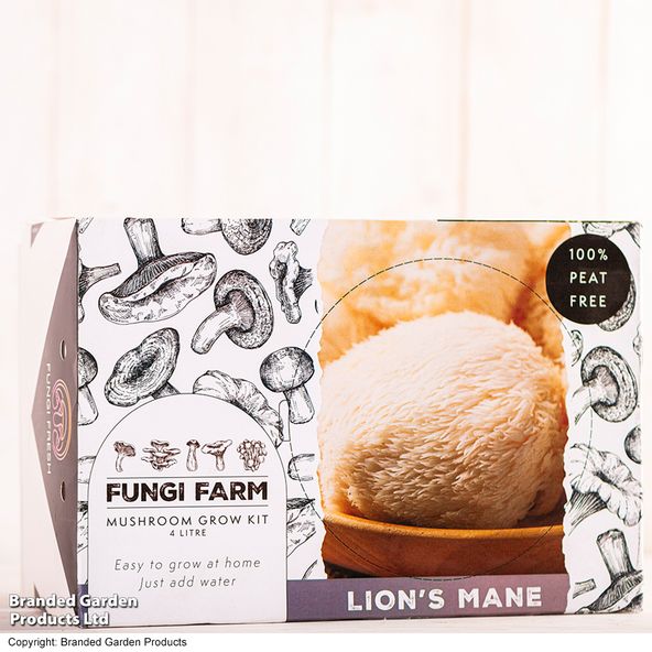 Fungi Farm Mushroom Windowsill Kit - Lion's Mane