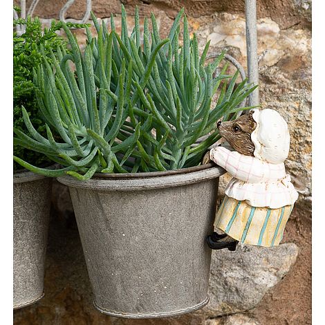 Full Colour Beatrix Potter Mrs. Tiggy-Winkle Pot Buddy - Pot Hanger