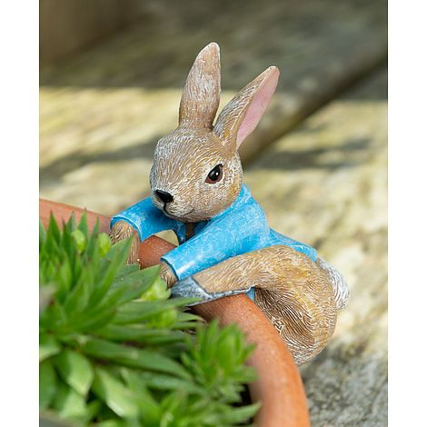 Full Colour Beatrix Potter Peter Rabbit Pot Buddy - Pot Hanger