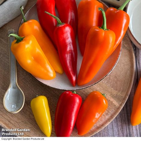 Pepper Super Snack Collection