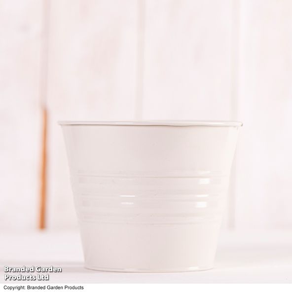 Kersey Zinc Ivory Planter