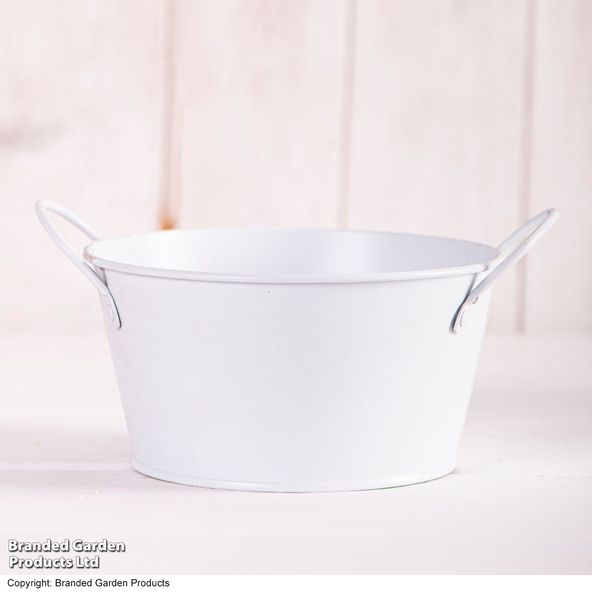 Metal Bowl Planter with Handles