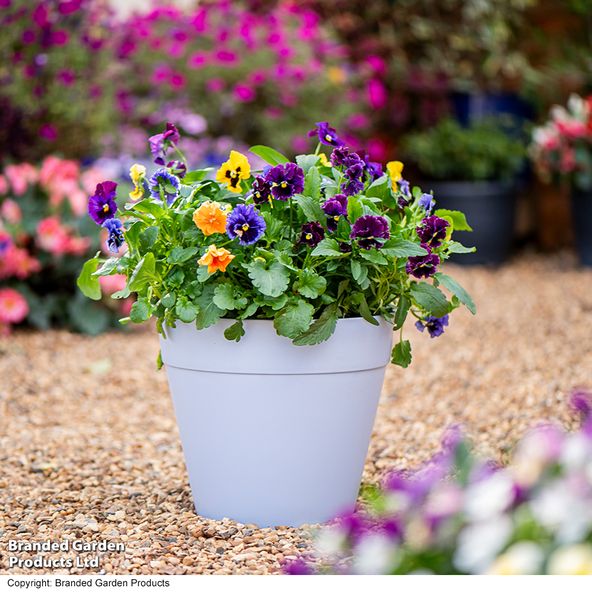 Garden Gear - Lucena Matte Finish Planter