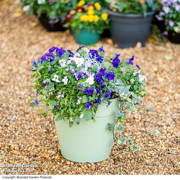 Garden Gear - Lucena Laurel Matte Green Planter
