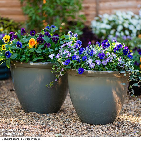 Garden Gear - Samaria Olive Glazed Effect Vase Planter