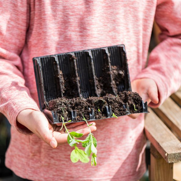 Garden Gear - 5 Cell Deep Root Trainer