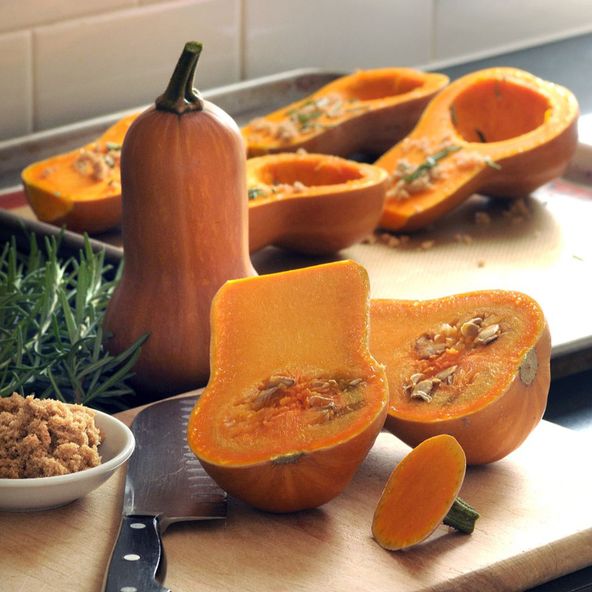Butternut Squash 'Honeynut' - Seeds
