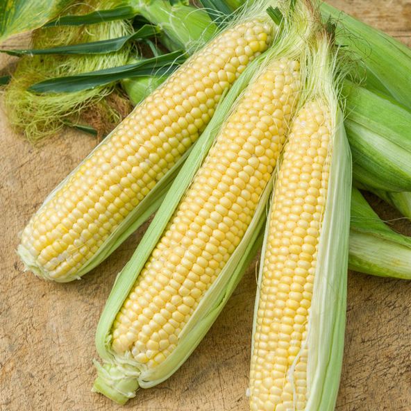 Sweetcorn Summer Daize F1 - Seeds
