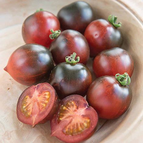 Thompson & Morgan 6 Seed Tomato Indigo Cherry Drops Vegetable 