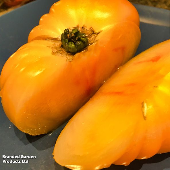 Tomato Pineapple - Seeds