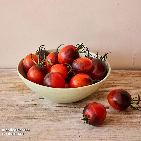 Tomato Black Moon F1 - Seeds