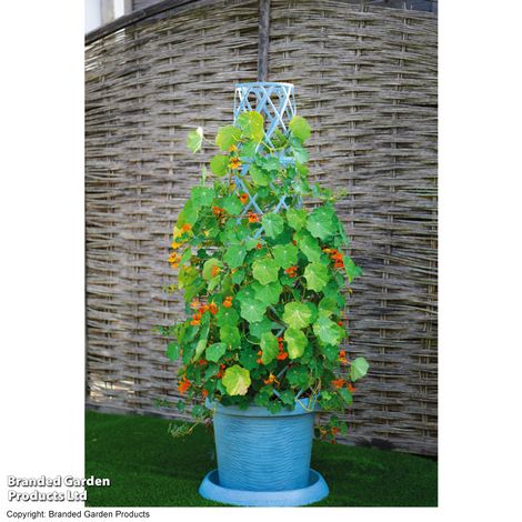 Garden Gear - Mayan Blue Tower Pot