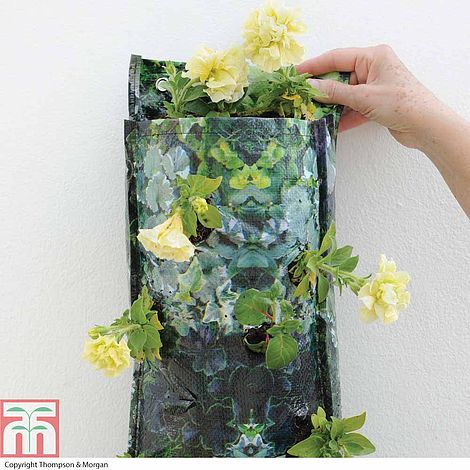 Thompson & Morgan Flower Pouch Wall Planters Free Delivery 