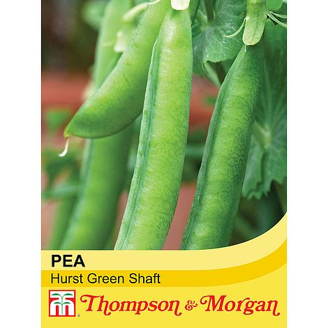 Pea,hurst Green Shaft,Legume,Beans,Seeds,vegetable,