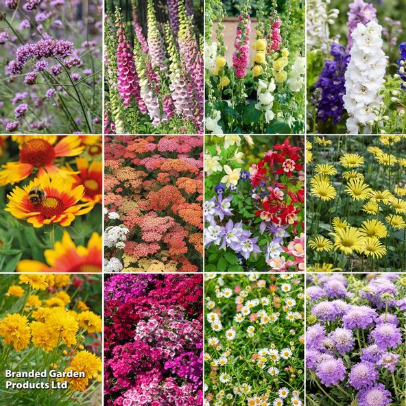 Ultimate Perennial Border Collection