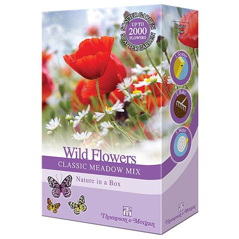Wildflowers 'Classic Meadow Mix' - Seed Scatter Pack