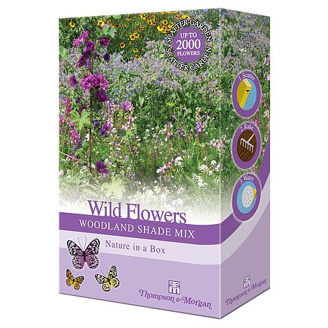 Wildflowers 'Woodland Shade Mix' - Seed Scatter Pack