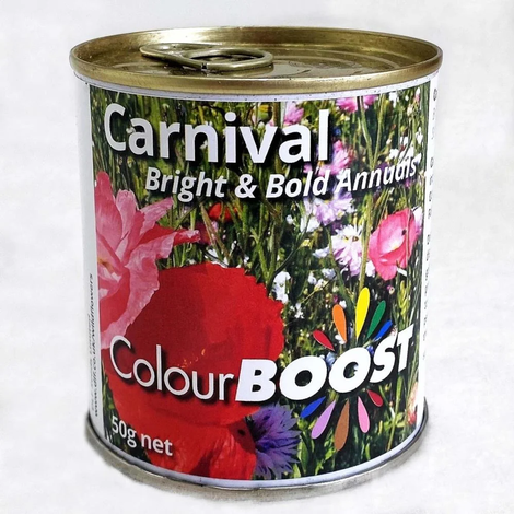 Colour Boost Carnival 100% Wildflower Seed 50g