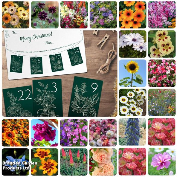 DIY Flower Seed Advent Calendar - Gift
