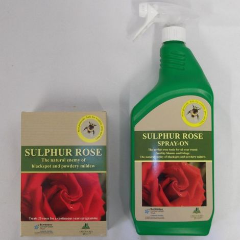 Sulphur Rose Natural Spray for Blackspot / Mildew