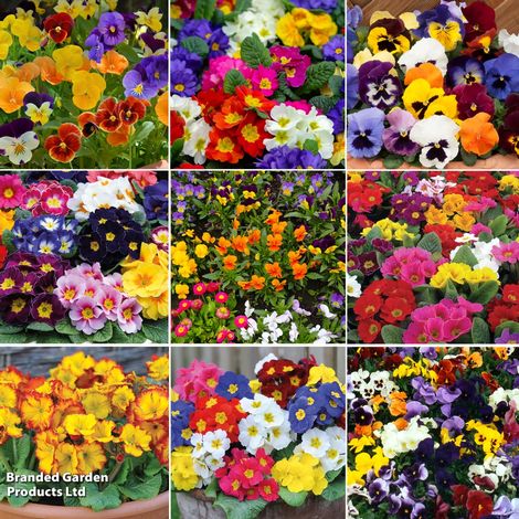 Winter Rainbow Bumper Bedding Collection