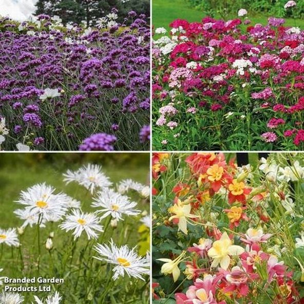 Wildlife Friendly Perennial Collection
