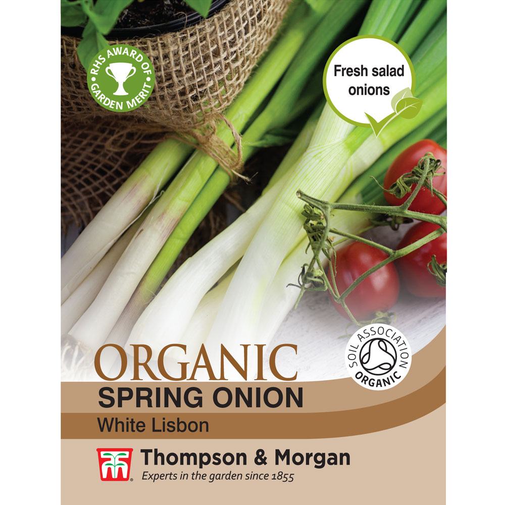 Thompson And Morgan Spring Onion Pompeii 125 Seeds Sow By Sept 2022 