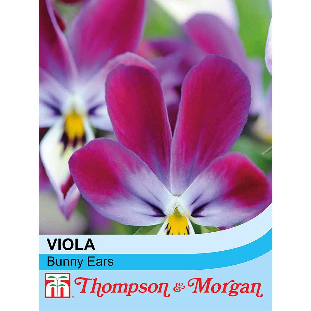 Viola Bunny Ears Seeds Thompson And Morgan