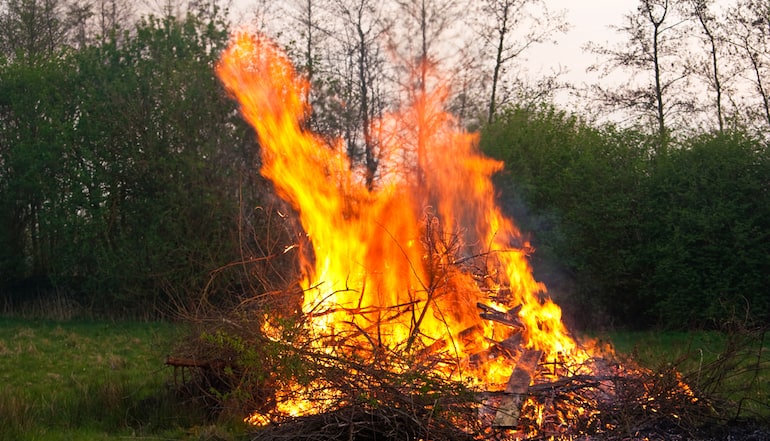 large bonfire in a forest