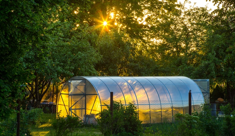 greenhouse in the evening
