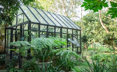 why buy a greenhouse?