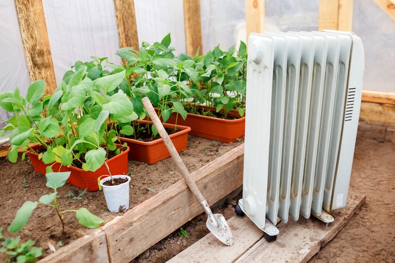 Top 10 Tips For Heating A Greenhouse In Winter Thompson Morgan