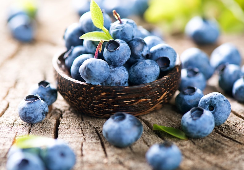 Bowl of harvested blueberries