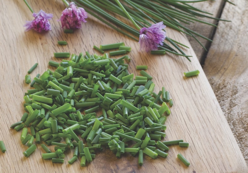 Chives from Thompson & Morgan