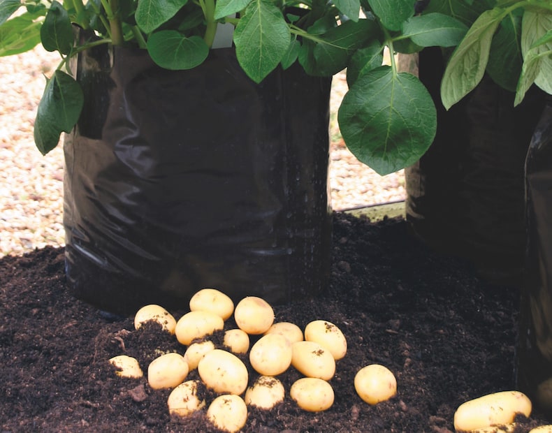 Black/Grey Potato Growing Bags Thompson & Morgan