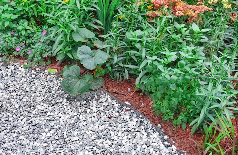 Mulch and gravel in sandy soil
