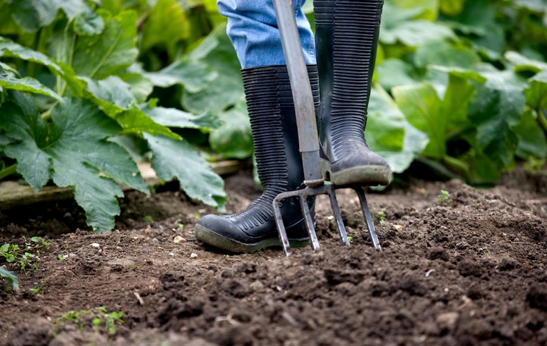 Man in wellies digging garden with garden fork