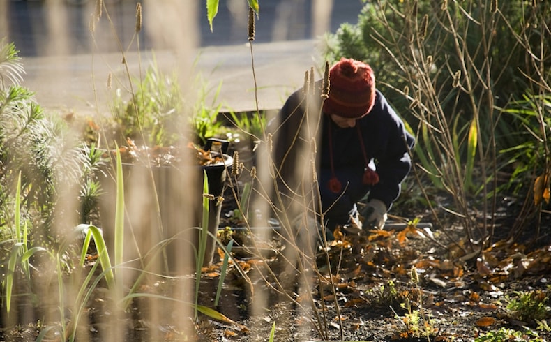 садовник в пальто и шапочке убирает опавшие листья и заросший сад